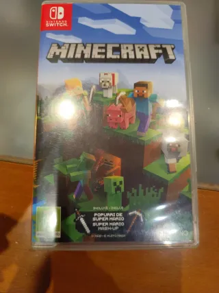 Minecraft Nintendo Switch