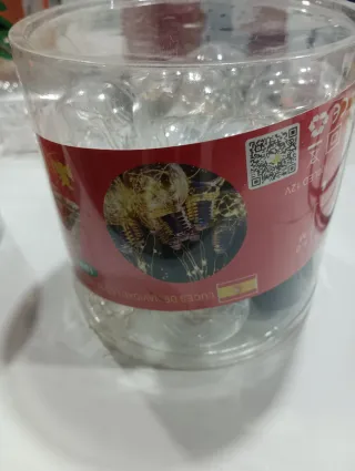 Luci di Natale Rosse e Trasparenti