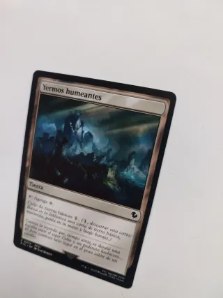 Carta Magic The Gathering Yermos Humeantes