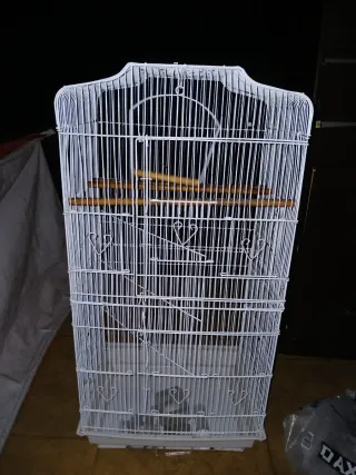 Gabbia bianca per uccelli