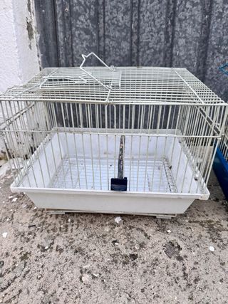 2 gabbie per uccelli