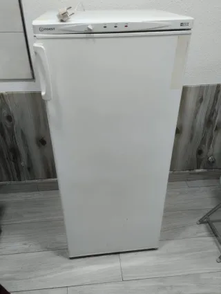 Congelatore verticale Indesit bianco