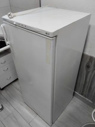Congelatore verticale Indesit bianco