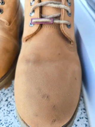 Botas Timberland 6-Inch Premium Talla 46