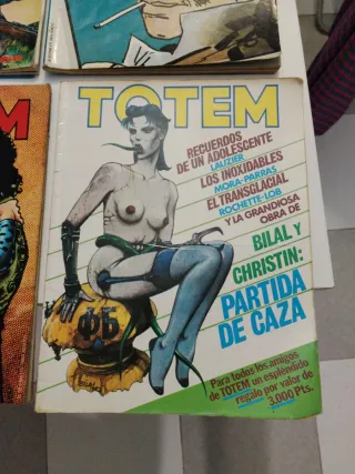 Lote 8 Comics Totem