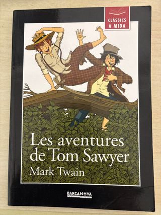 Les aventures de Tom Sawyer