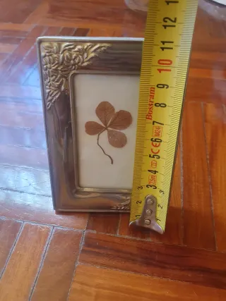 Marco de fotos plateado