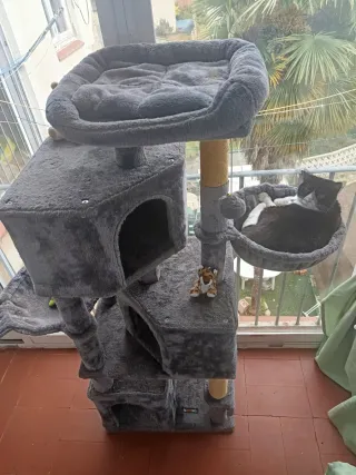 Árbol rascador para gatos Arbre rascador per a gat