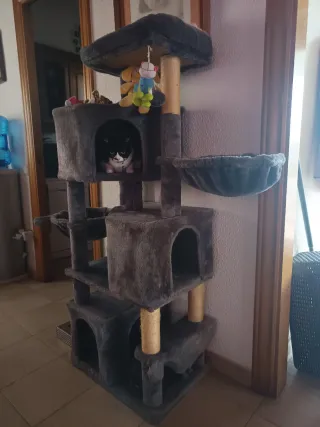 Árbol rascador para gatos Arbre rascador per a gat