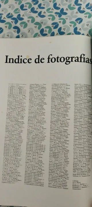 Un mundo de Caballos