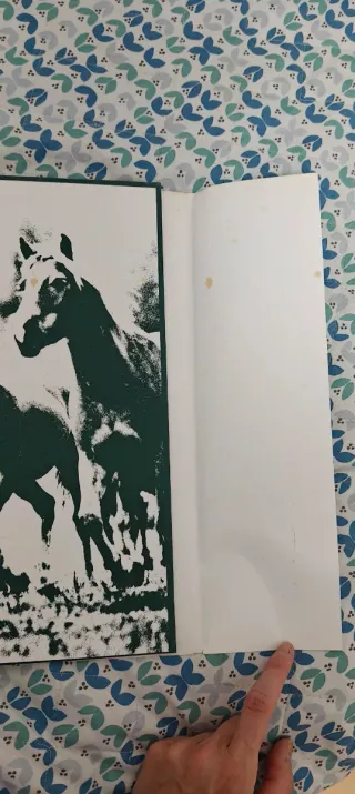 Un mundo de Caballos