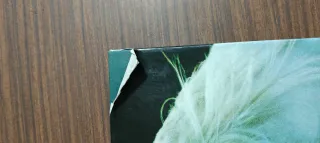 Un mundo de Caballos