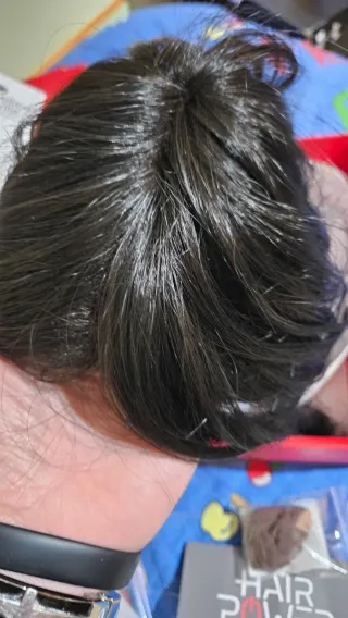 Parrucca Ellen Wille donna castana taglia unica