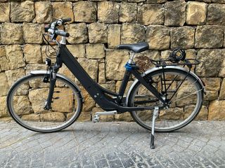 Bicicleta eléctrica Winora M7 color manto