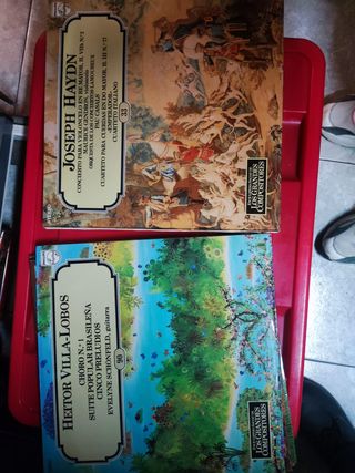 Lote Vinili Classici Haydn - Dorati