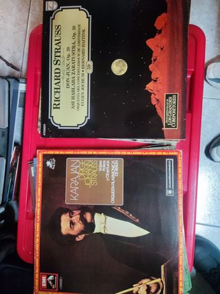 Lote Vinili Classici Haydn - Dorati