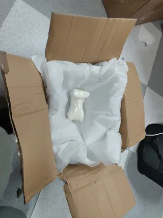 CF450MT Placa Protección Inferior Motor