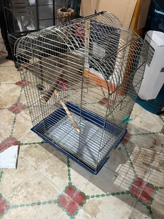 Gabbia per uccelli argentata e blu