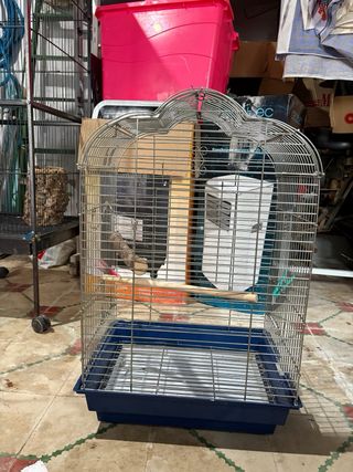 Gabbia per uccelli argentata e blu