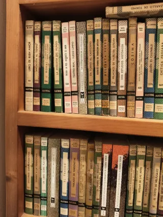 Lote 277 libros Austral