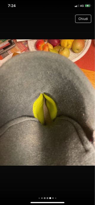 Scarponi sci Dolomite