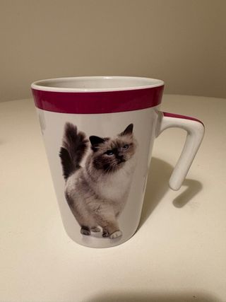 Set 3 tazze con gatti