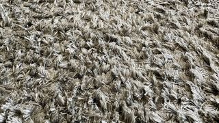 Alfombra Beige Lana - Impecable