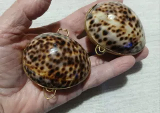 Due portagioie conchiglia vintage