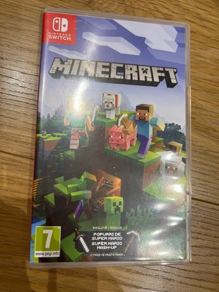 Minecraft Nintendo Switch