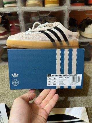 Adidas gazelle x Bad Bunny