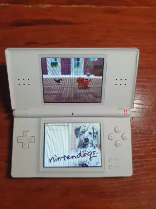 2 Nintendo DS Lite (Negro y Blanco) y 10 juegos