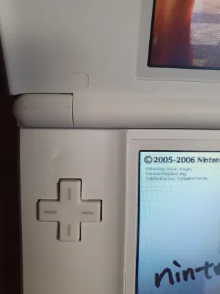 2 Nintendo DS Lite (Negro y Blanco) y 10 juegos