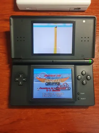 2 Nintendo DS Lite (Negro y Blanco) y 10 juegos