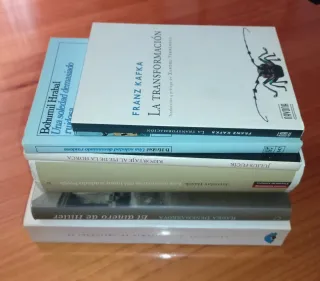 ⚡Lote de 6 libros de LITERATURA CHECA