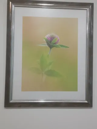 Quadro Fiore Rosa con Cornice Argentata