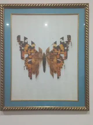 Quadro Fiore Rosa con Cornice Argentata