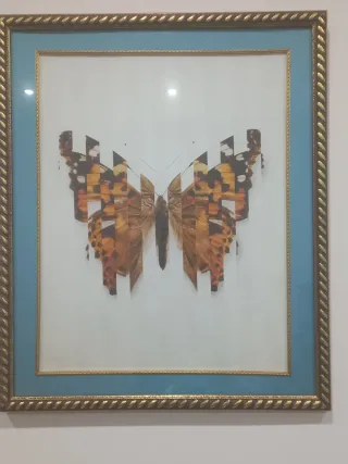 Quadro Fiore Rosa con Cornice Argentata