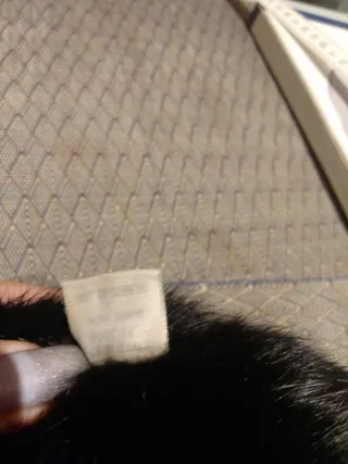 Cuello de conejo negro