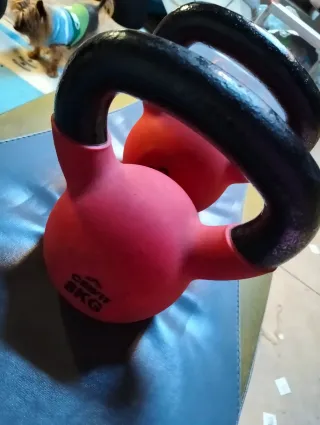 2 Mancuernas Rusas (8kg)