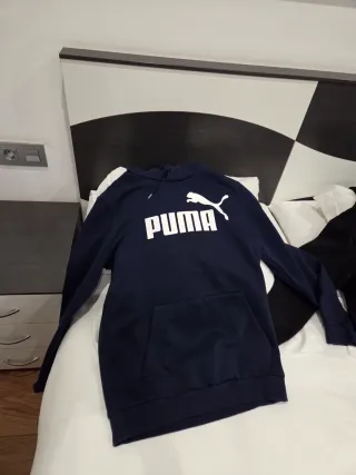 Lote Ropa Hombre: Trenca, Chaqueta, 2 Sudaderas Pu