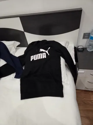 Lote Ropa Hombre: Trenca, Chaqueta, 2 Sudaderas Pu