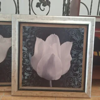 Set di 2 quadri decorativi con rose bianche