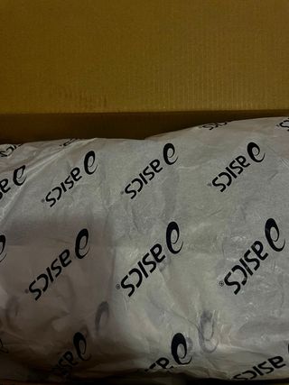 ASICS Air Sics Plata/Blanco