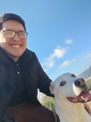 ALOJAMIENTO Y PASEO DE MASCOTAS