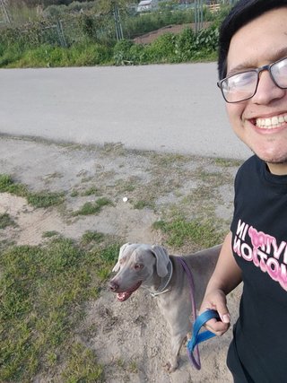 ALOJAMIENTO Y PASEO DE MASCOTAS