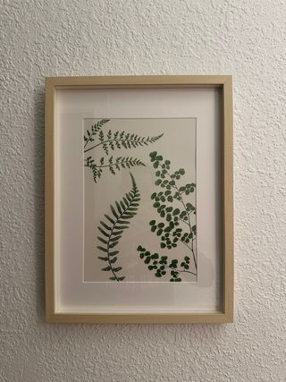 2 Quadri Decorativi Piante Ikea in Legno