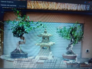 Mesa de madera para bonsái