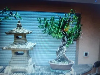 Mesa de madera para bonsái