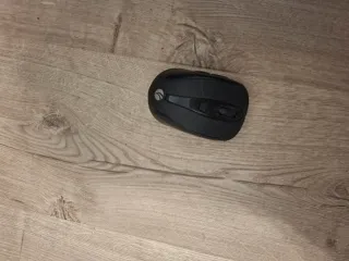 Monitor BenQ Negro + teclador + raton