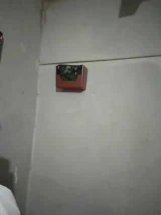 Gabbia per uccelli marrone e verde militare